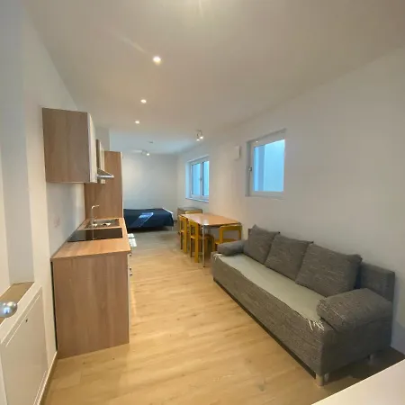 Apartment S&A Хольцкирхен Экстерьер фото